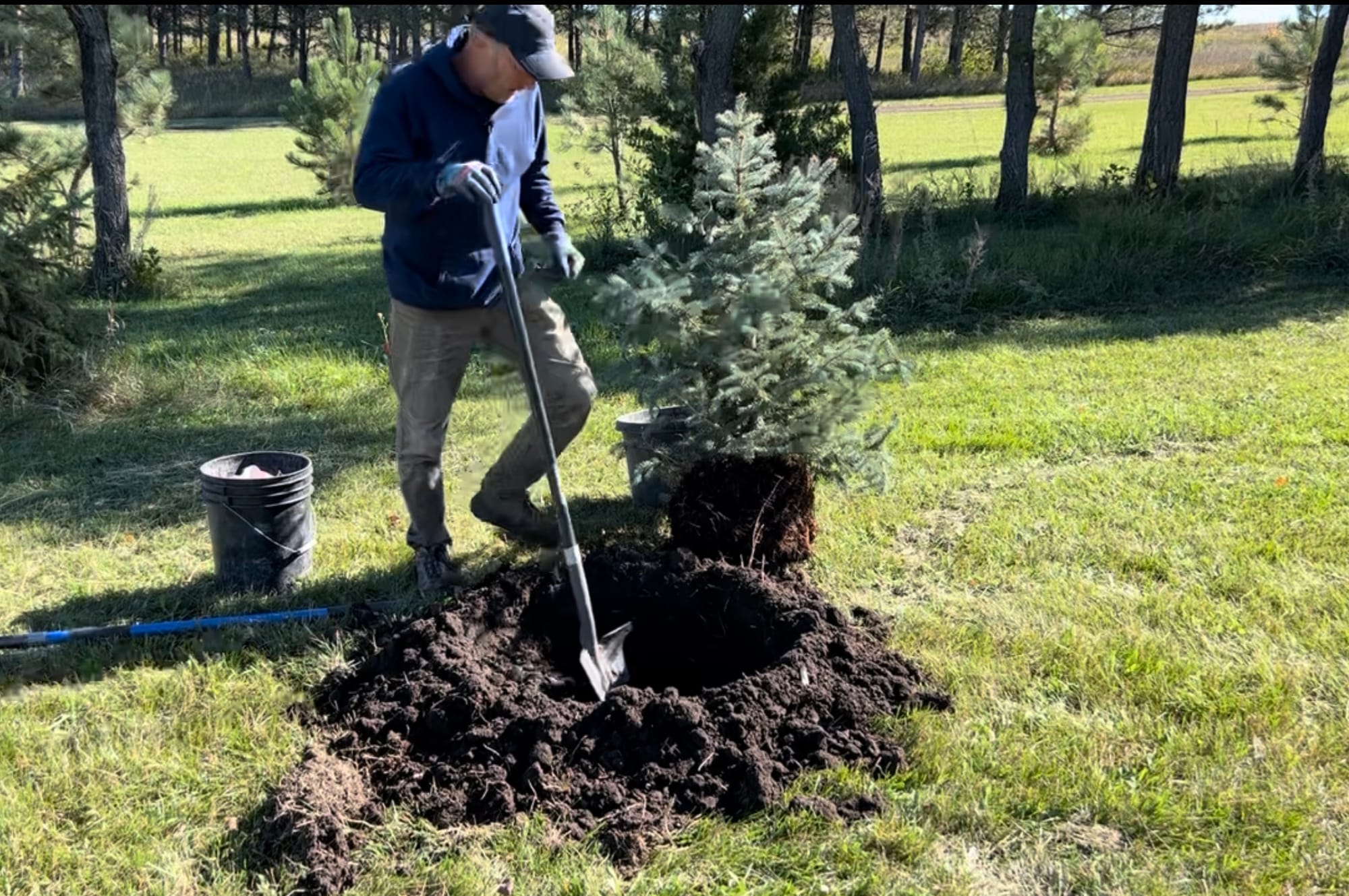 Using An Auger To Plant Trees