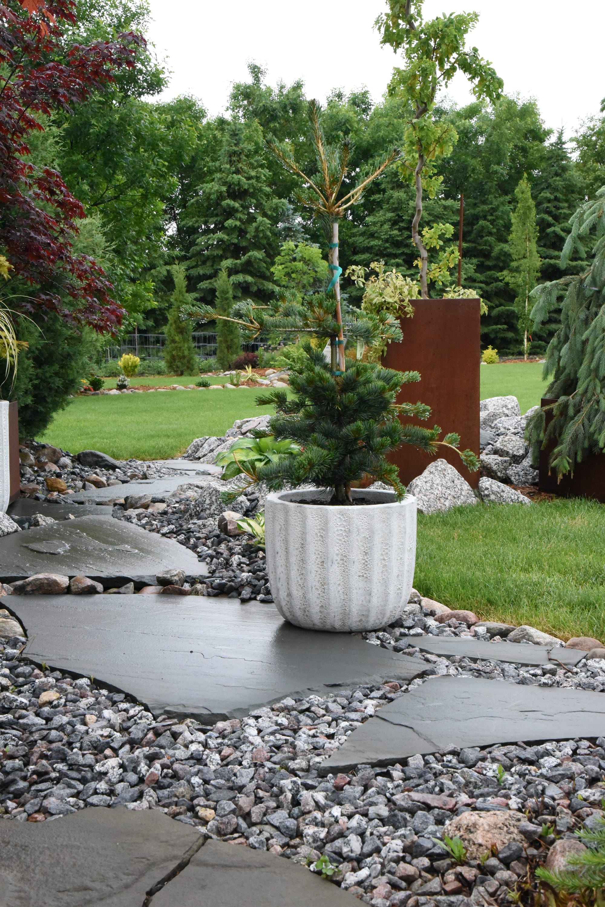 Landscaping Ideas | Plants, Pathway, Rustic Containers