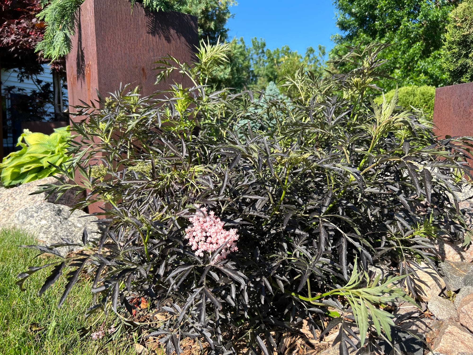 Landscaping Ideas | Plants, Pathway, Rustic Containers