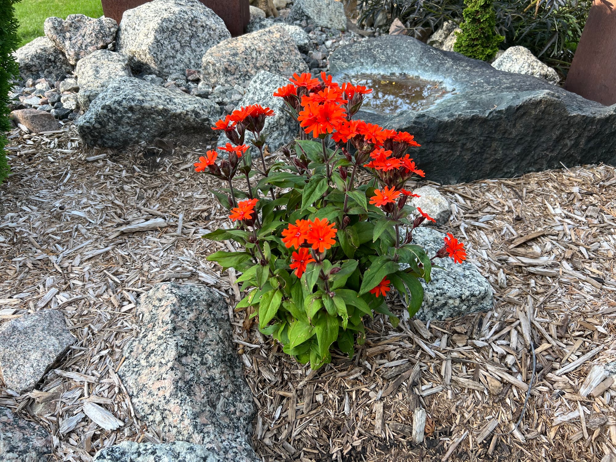 Landscaping Ideas | Plants, Pathway, Rustic Containers