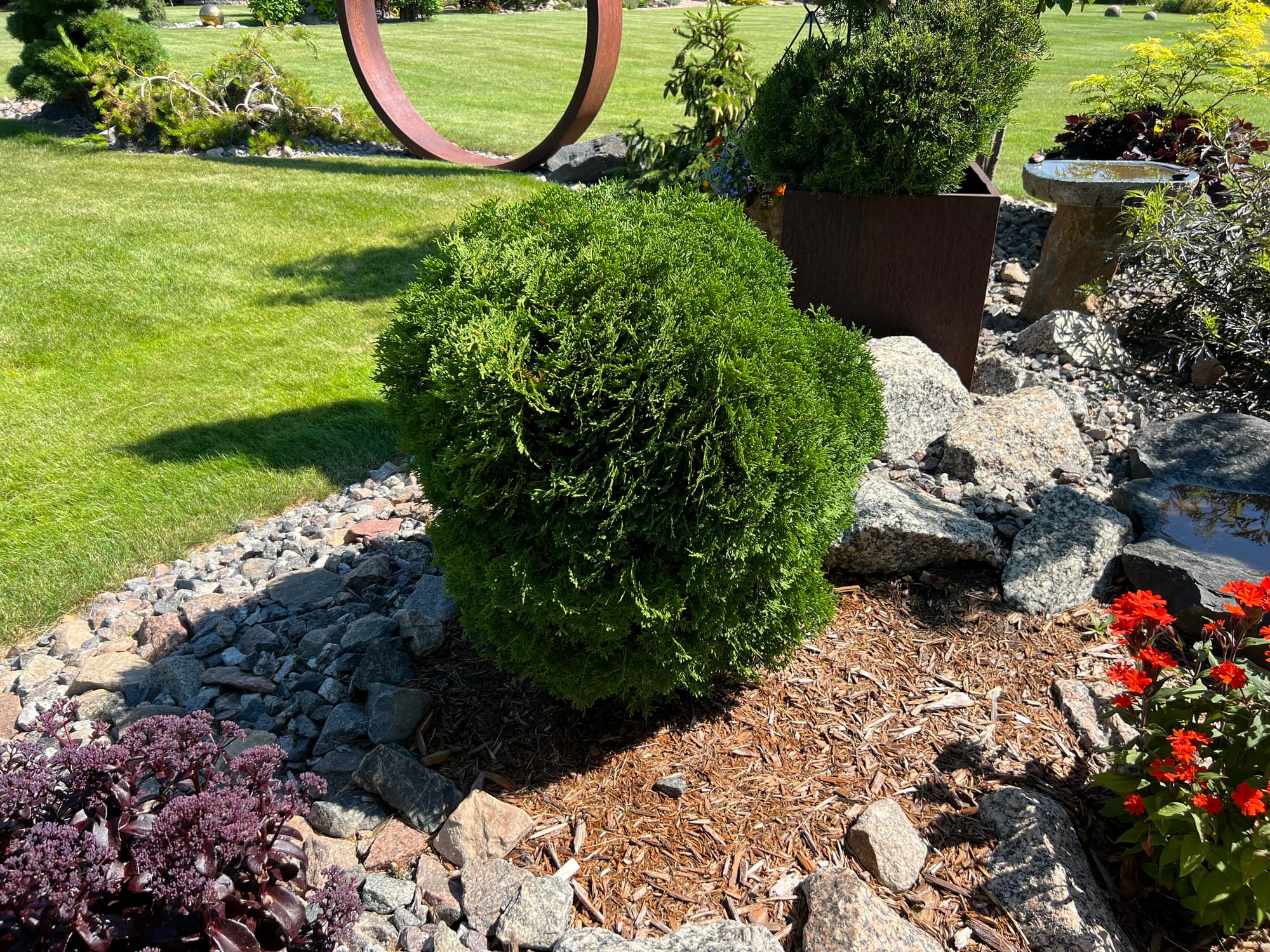 Landscaping Ideas | Plants, Pathway, Rustic Containers