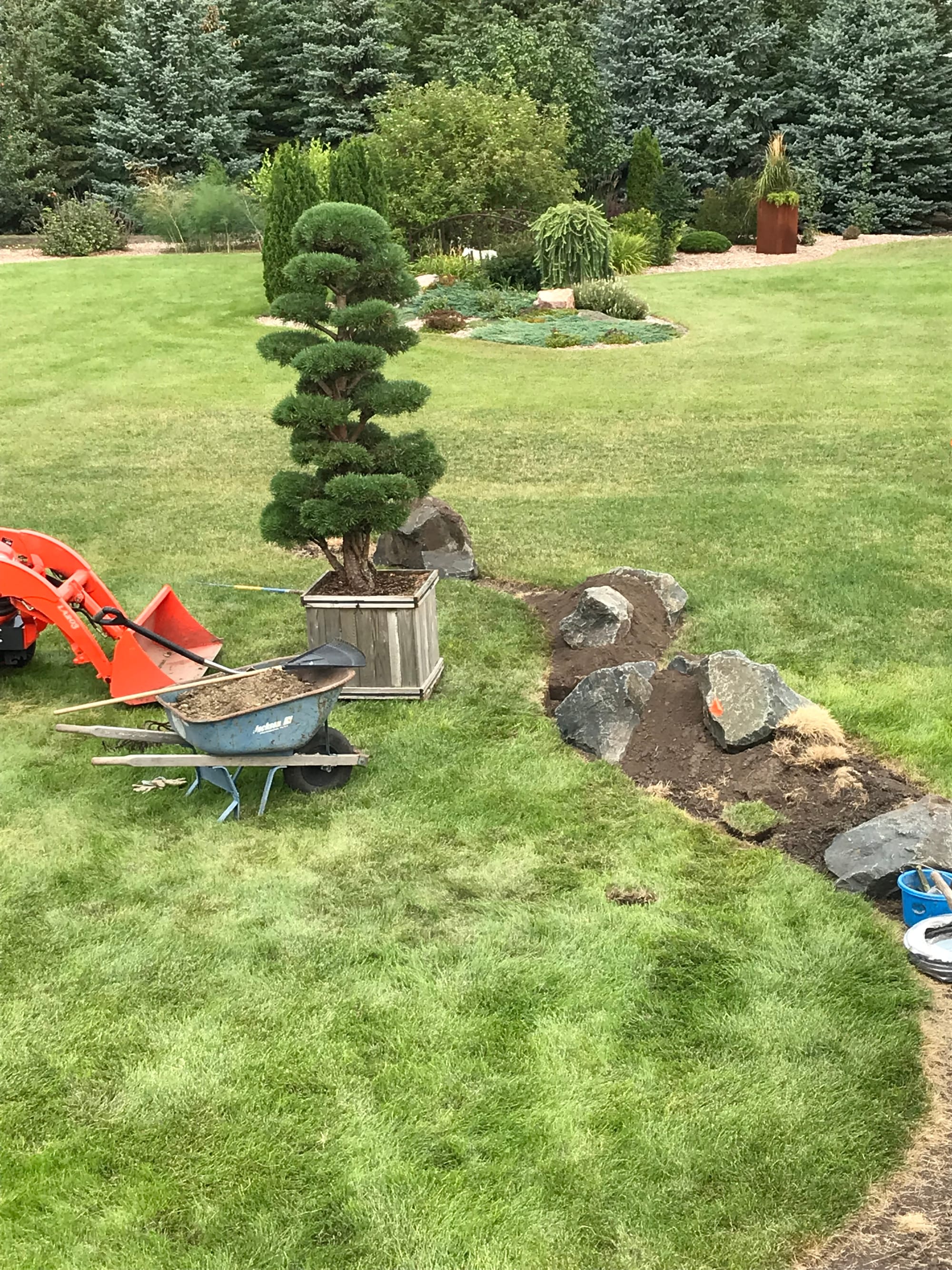 A Narrow Landscape Bed Including Metal Garden Art and Unique Plants