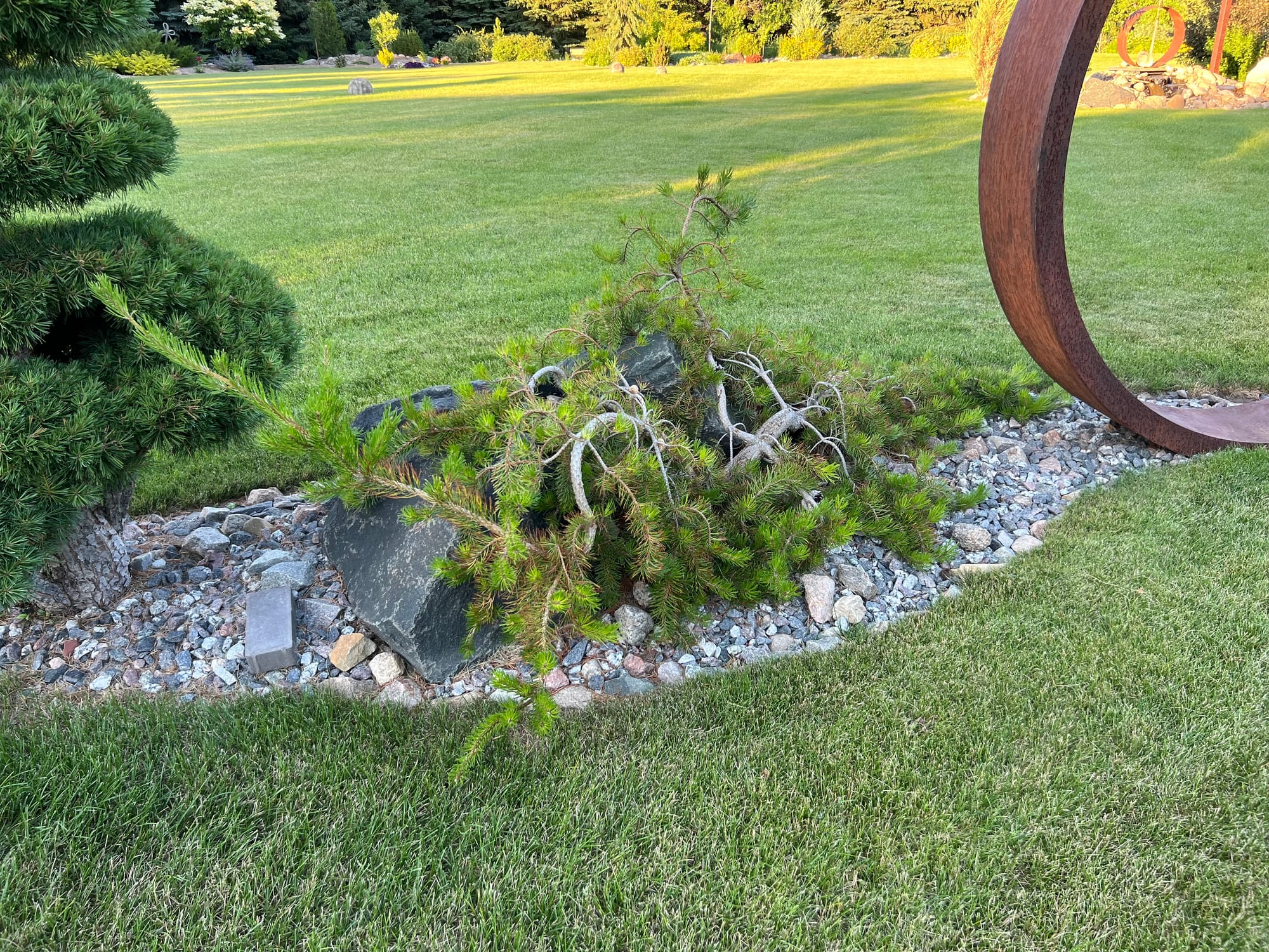 A Narrow Landscape Bed Including Metal Garden Art and Unique Plants