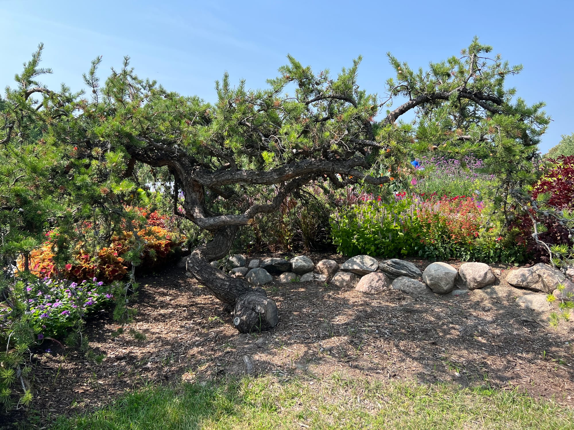 A Narrow Landscape Bed Including Metal Garden Art and Unique Plants