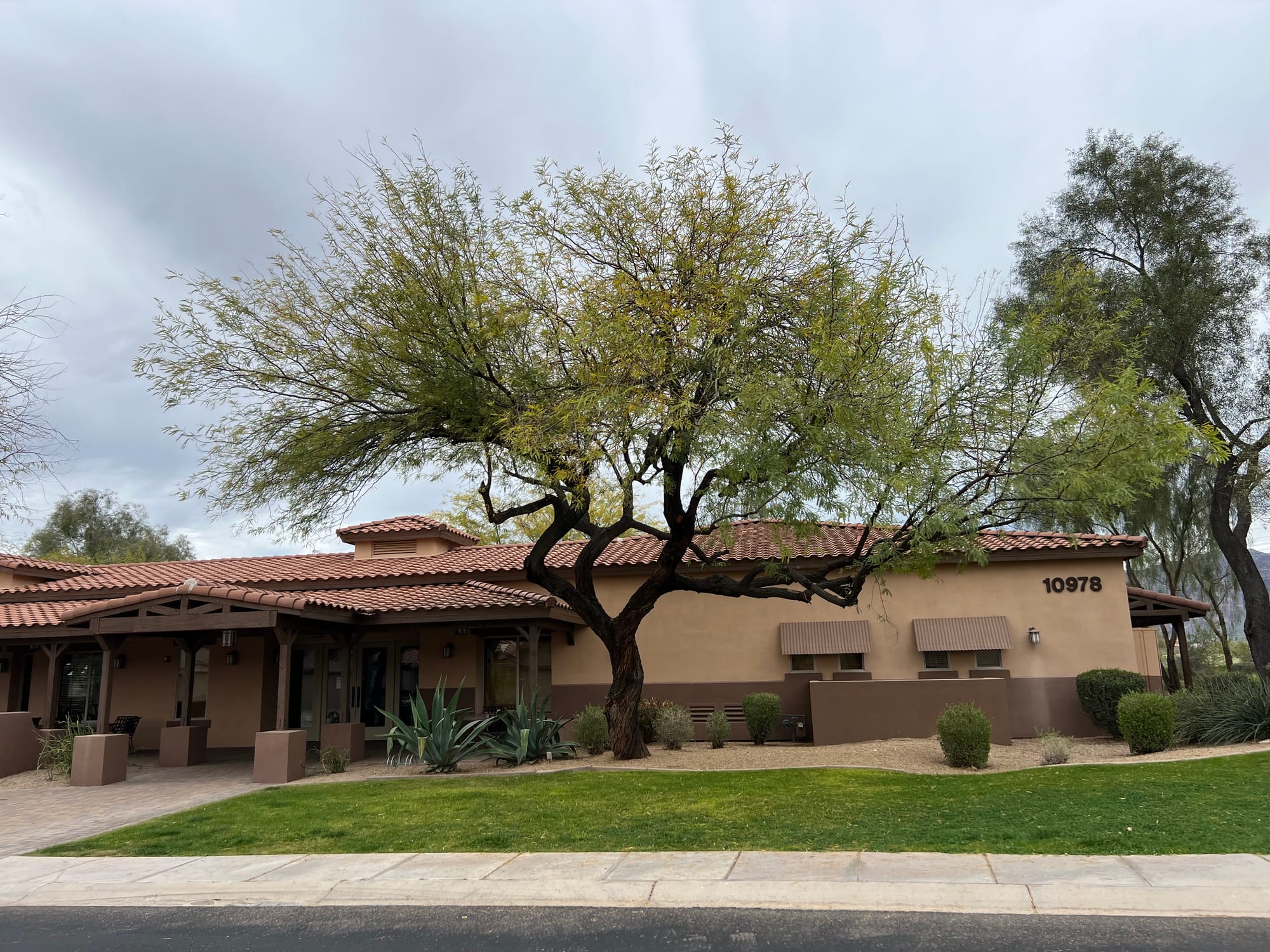 A Day At The Boyce Thompson Arboretum, Arizona