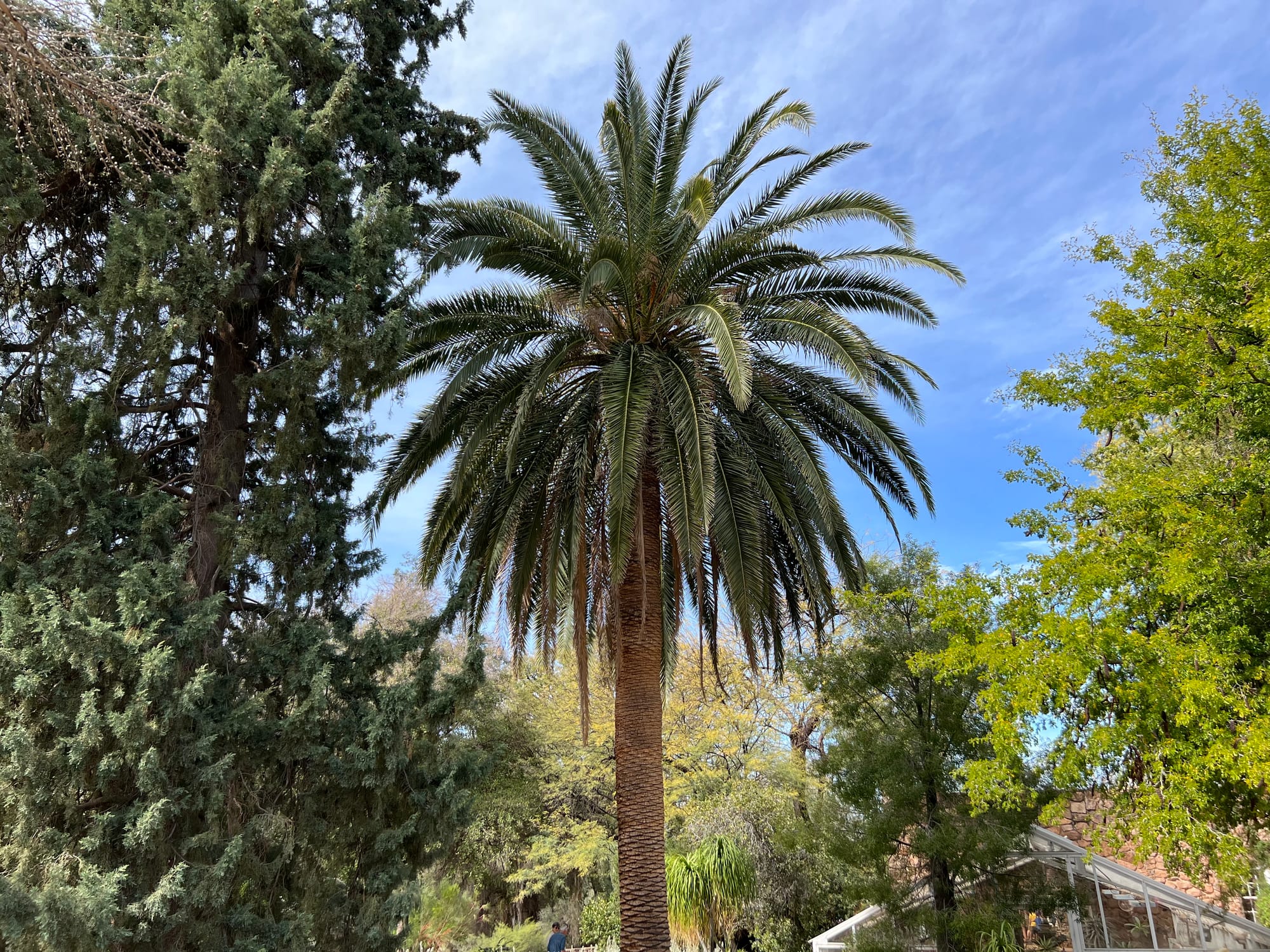 A Day At The Boyce Thompson Arboretum, Arizona