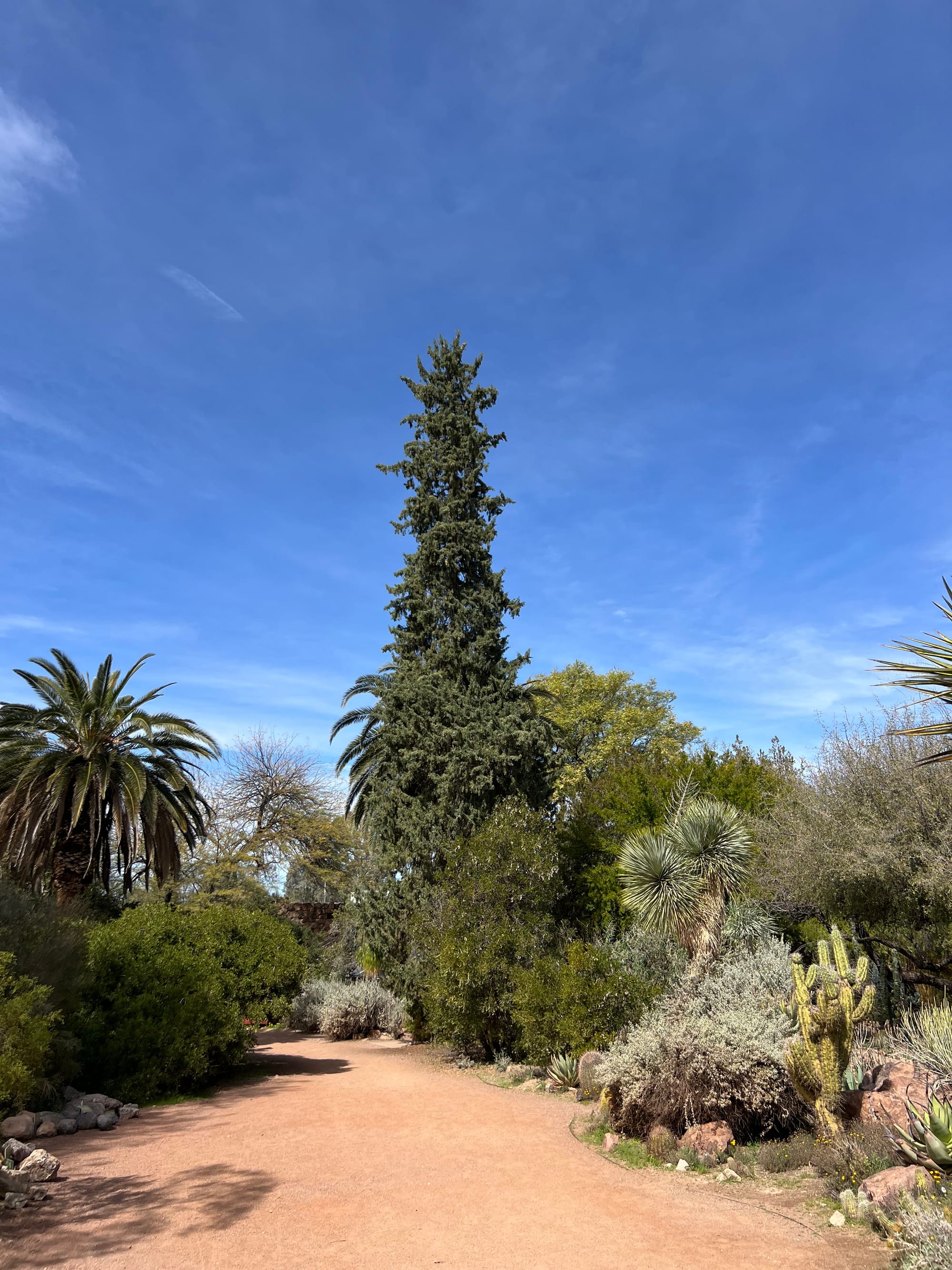 A Day At The Boyce Thompson Arboretum, Arizona