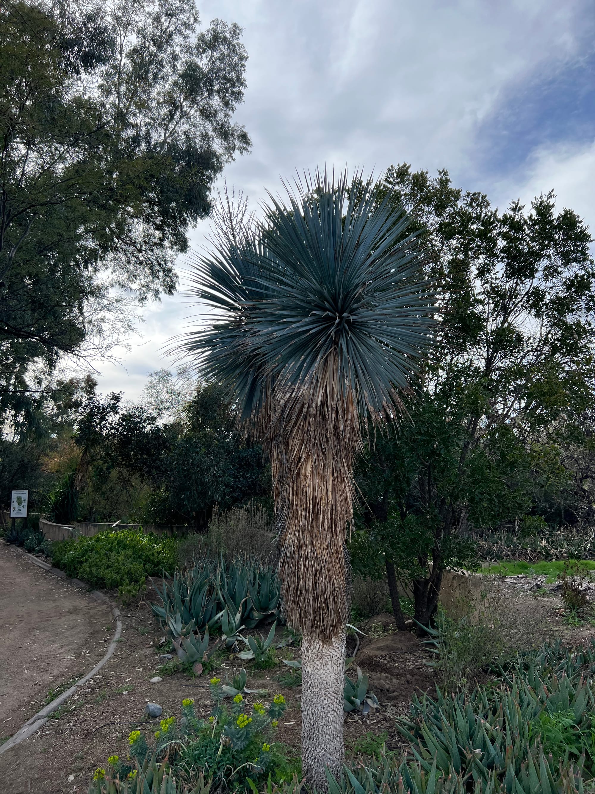 A Day At The Boyce Thompson Arboretum, Arizona