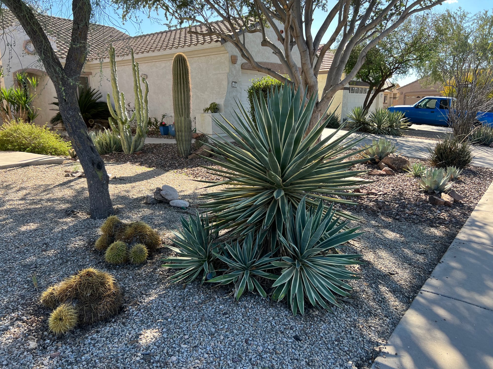 A Day At The Boyce Thompson Arboretum, Arizona