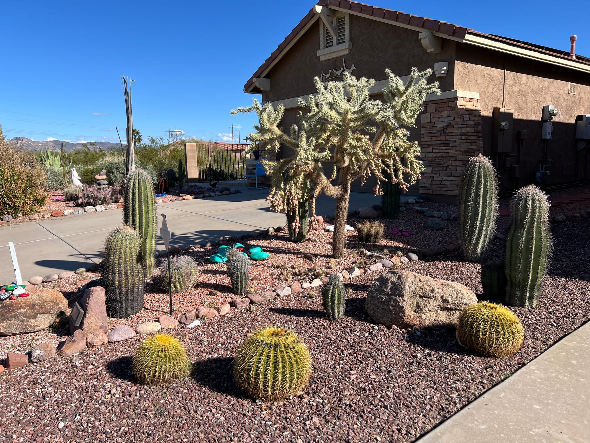 A Day At The Boyce Thompson Arboretum, Arizona