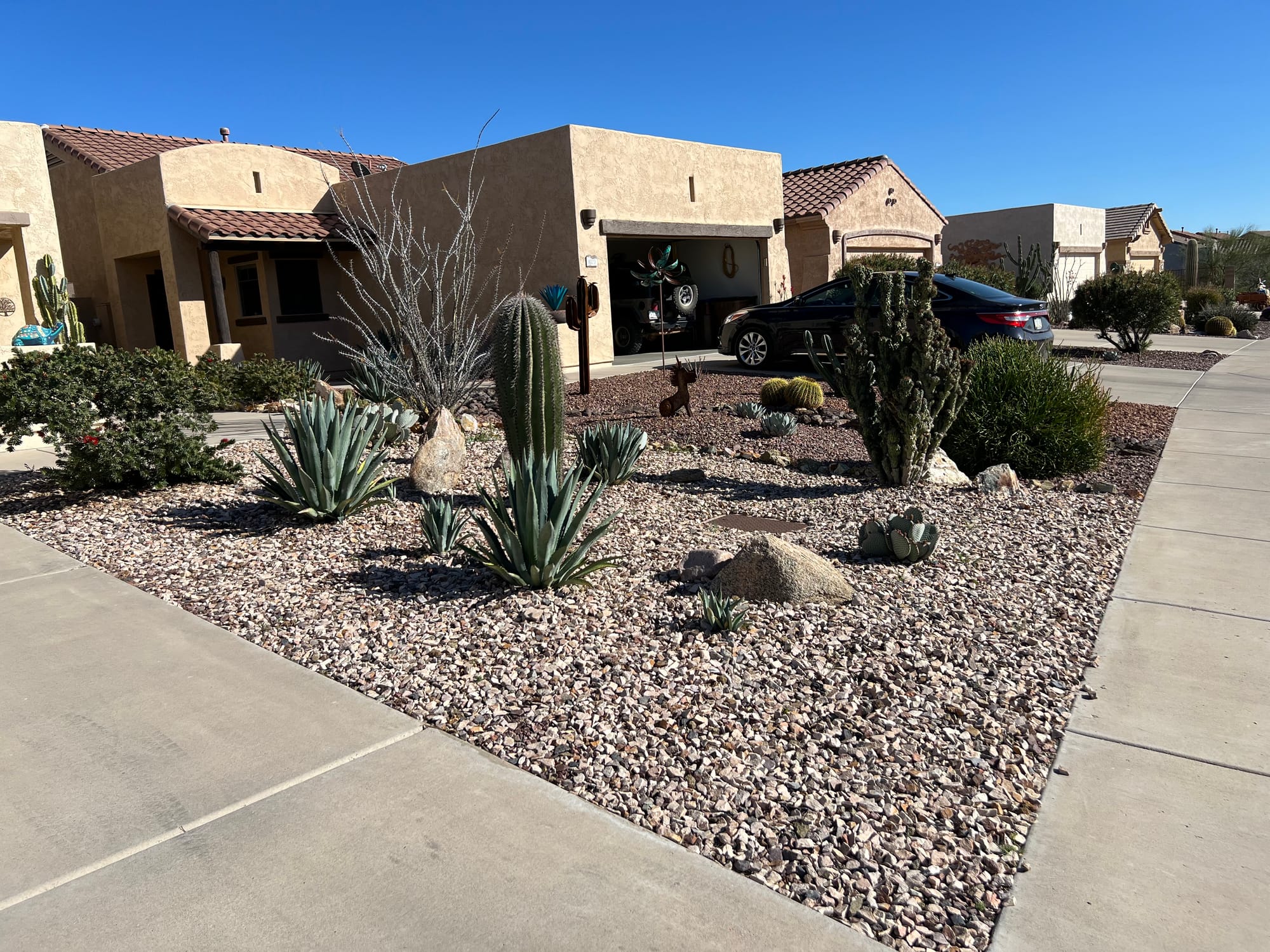 A Day At The Boyce Thompson Arboretum, Arizona