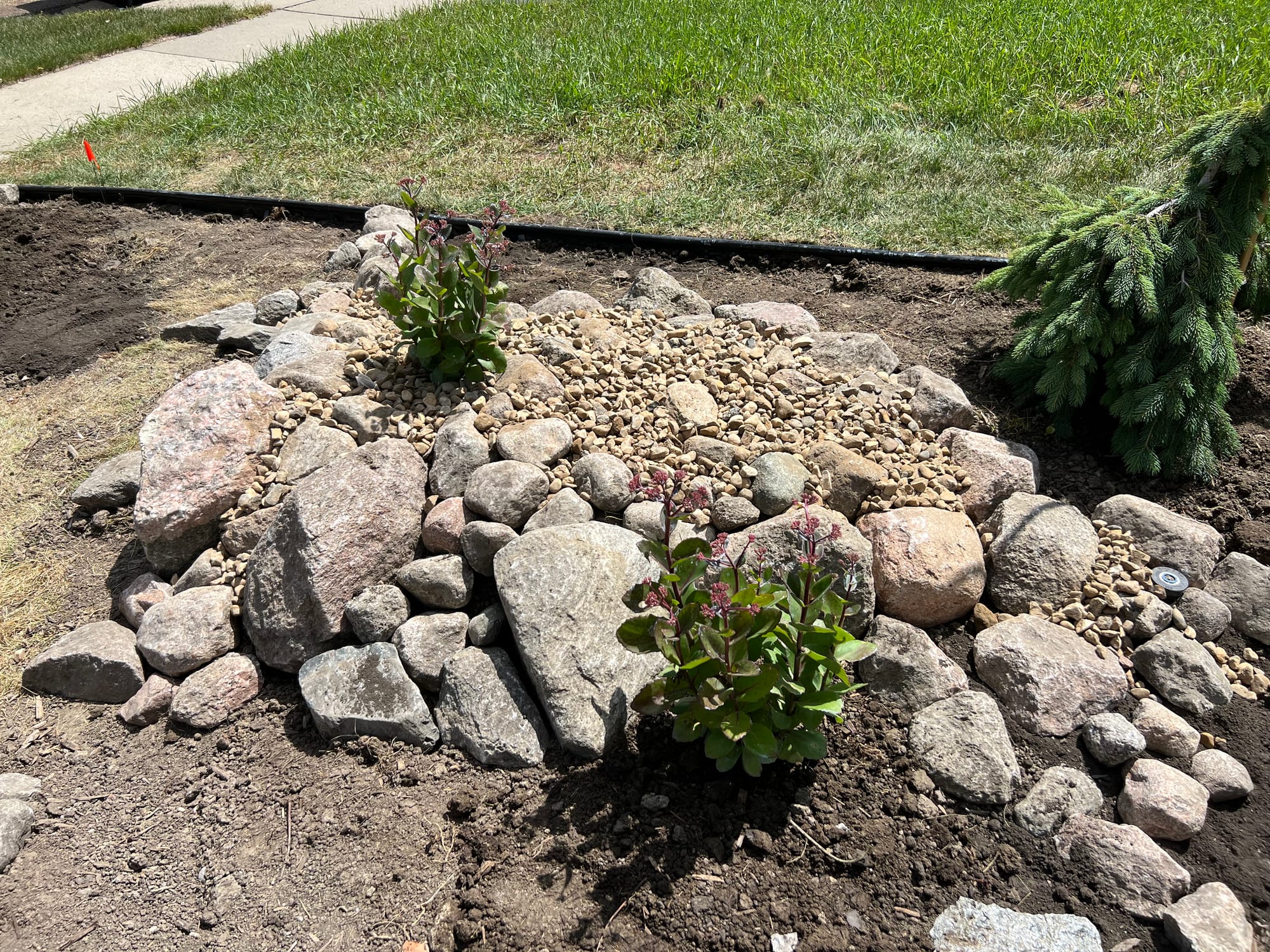 Converting A Grass Area Into A Gardener's Playground