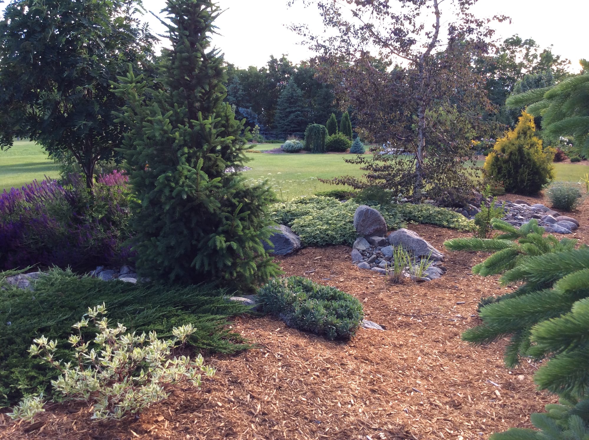 Landscape Bed Spring Cleanup And A Variety Tour