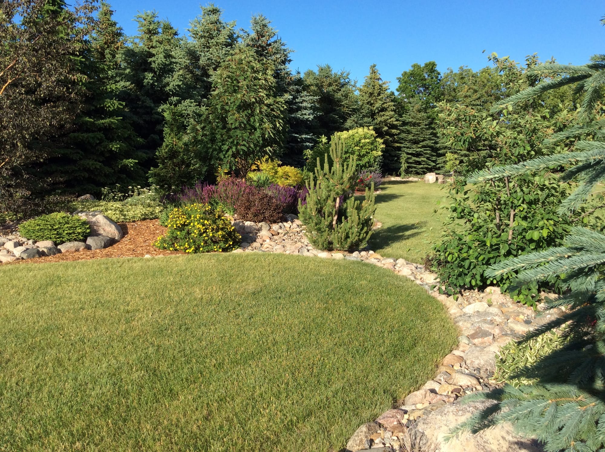 Landscape Bed Spring Cleanup And A Variety Tour