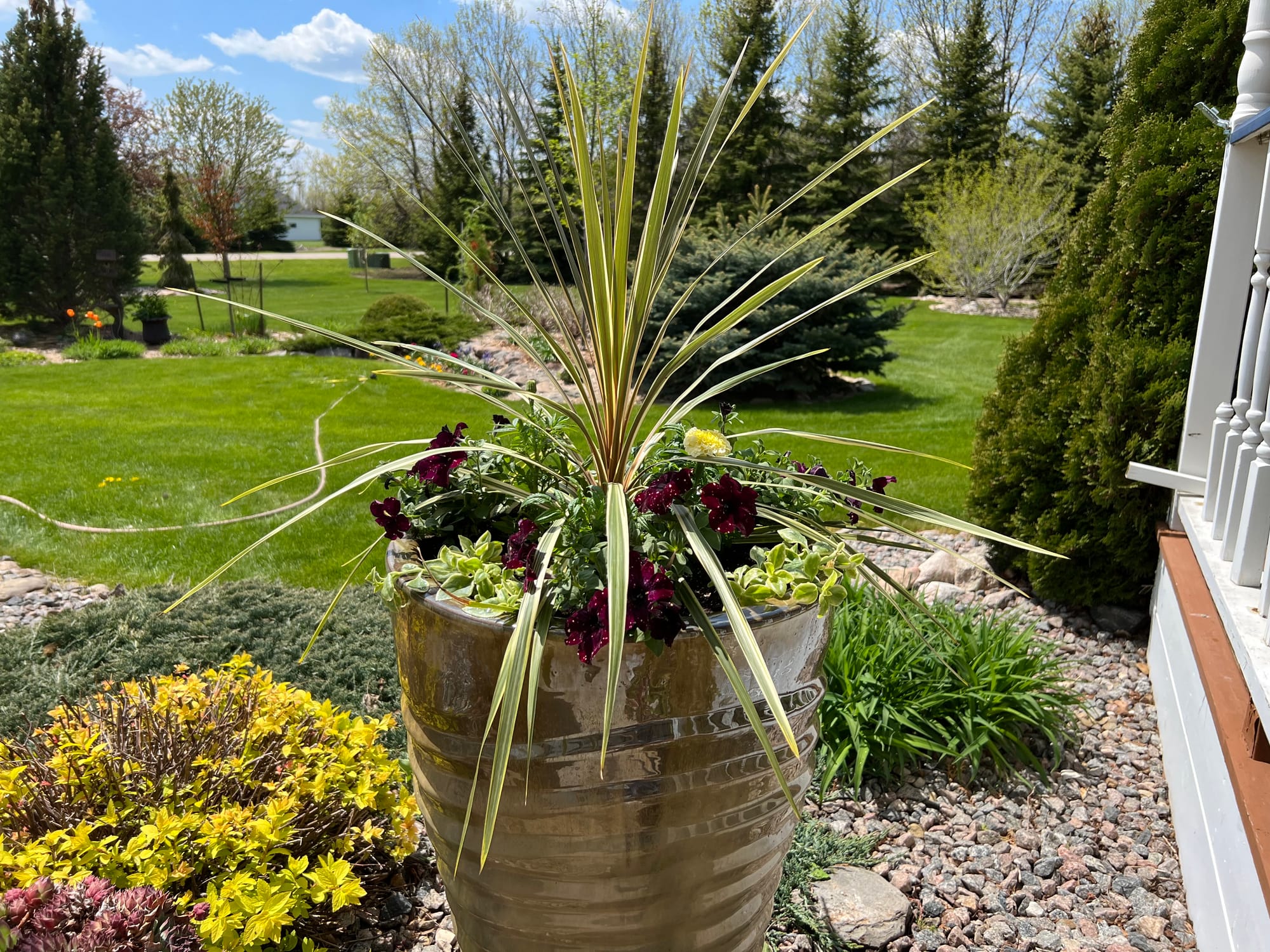 Flowering Annuals In The Landscape