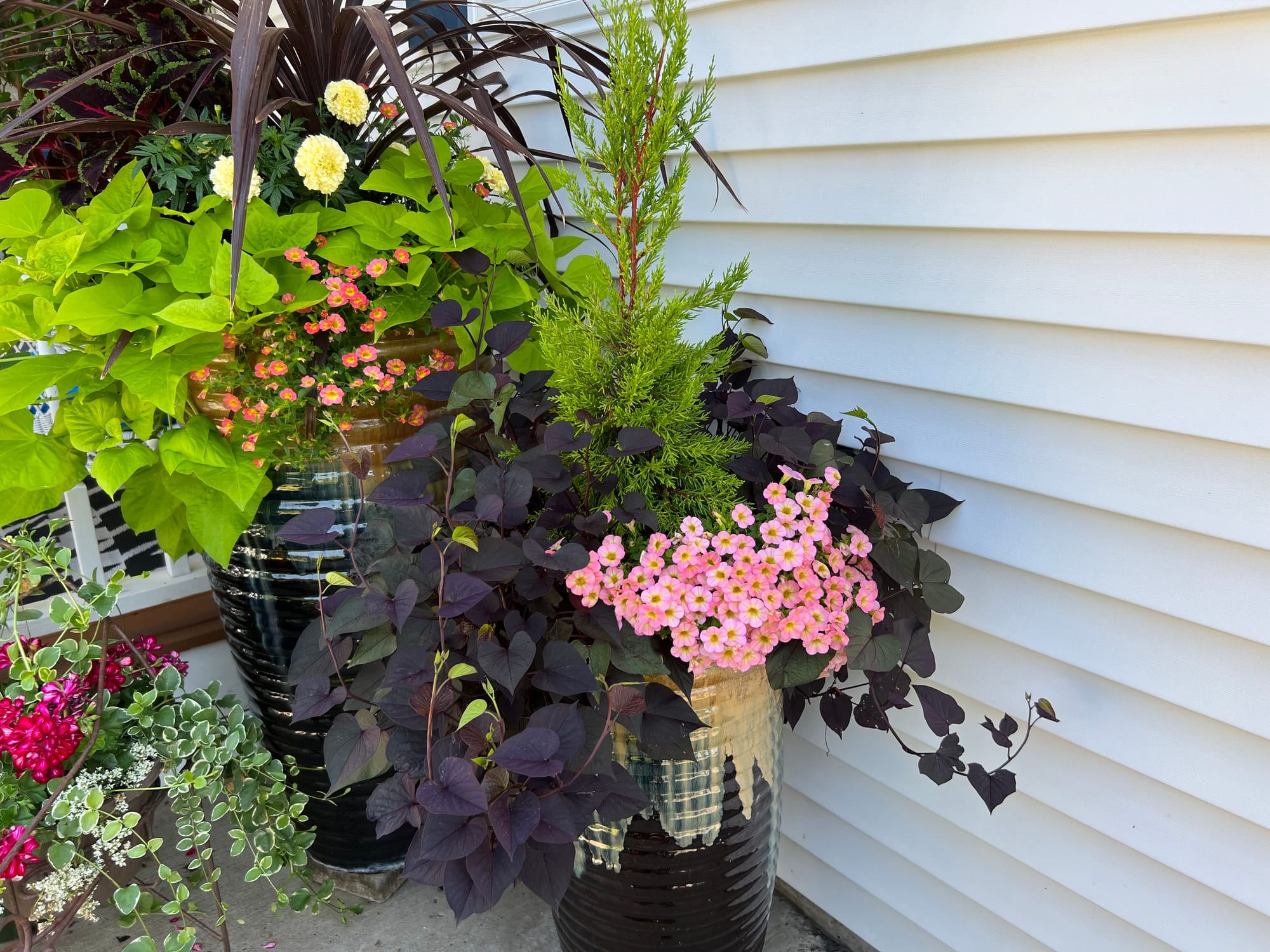 Flowering Annuals In The Landscape