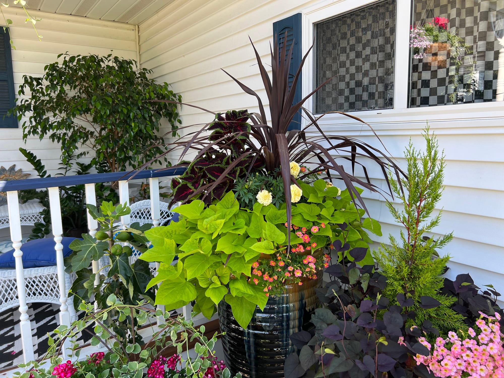 Flowering Annuals In The Landscape