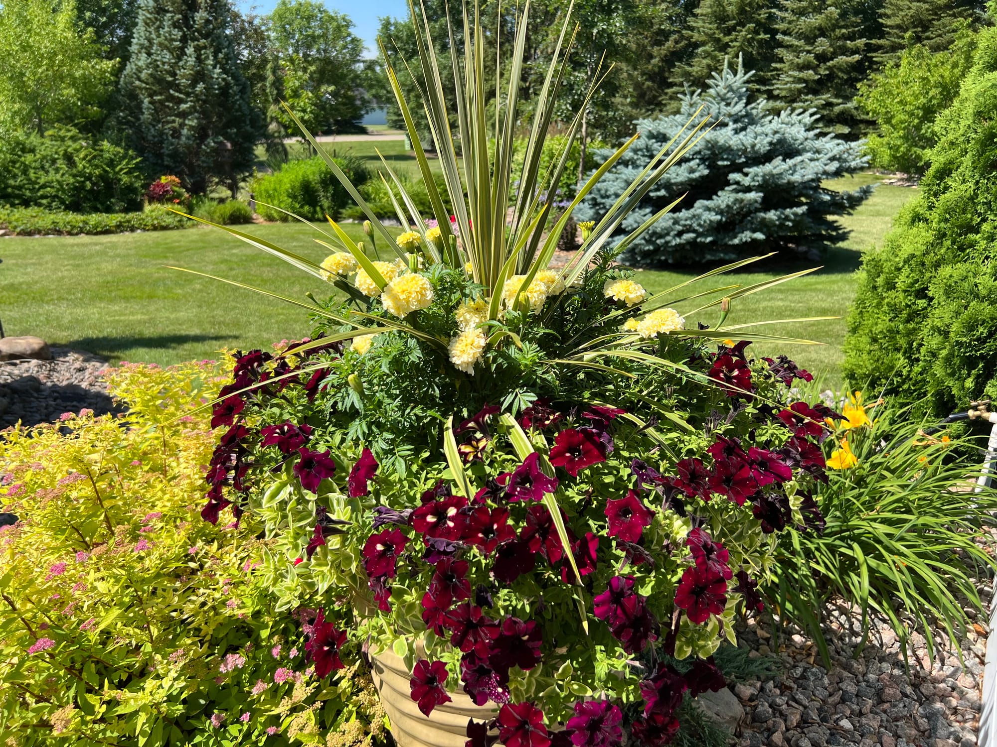 Flowering Annuals In The Landscape