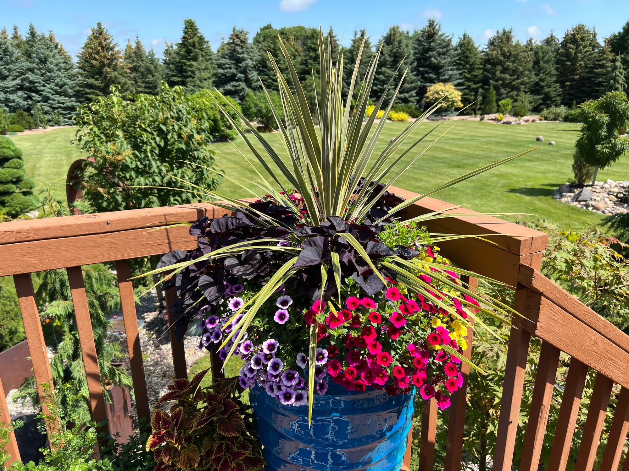 Flowering Annuals In The Landscape