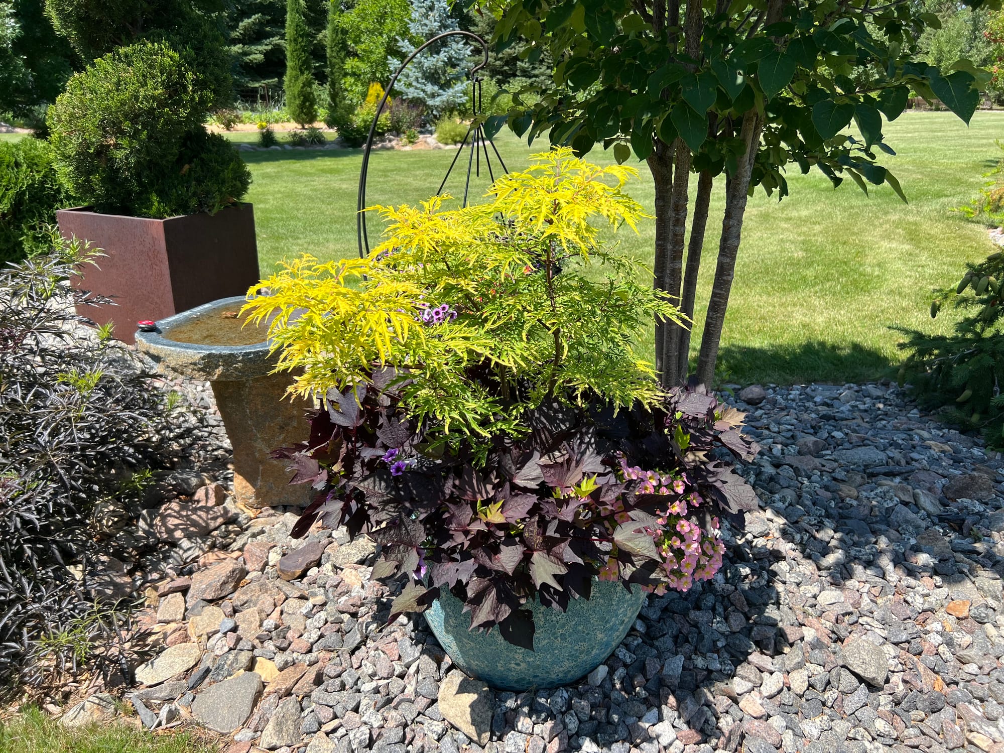 Flowering Annuals In The Landscape