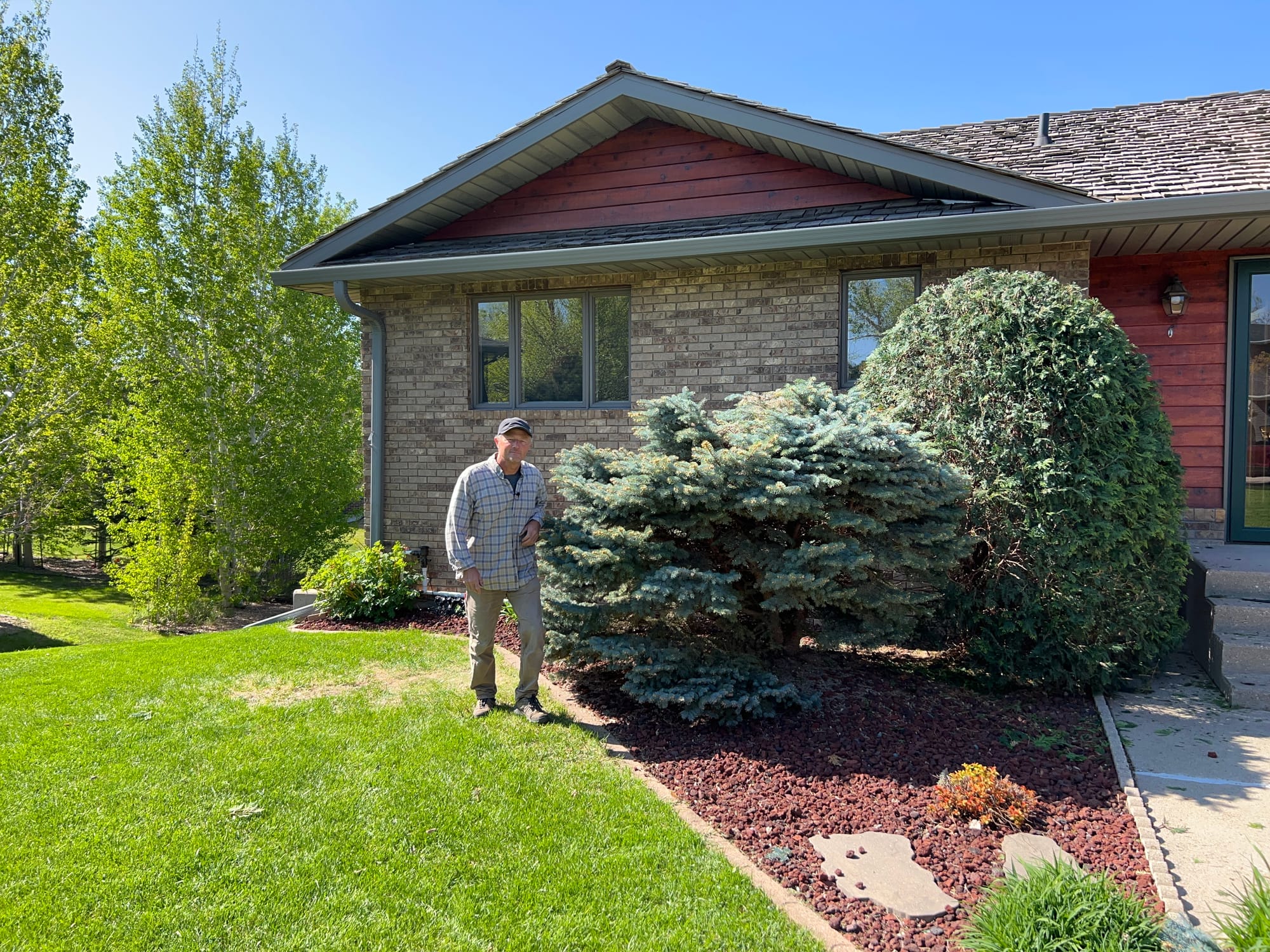 Freshly Pruned Techny Arborvitae and Colorado Globe Spruce