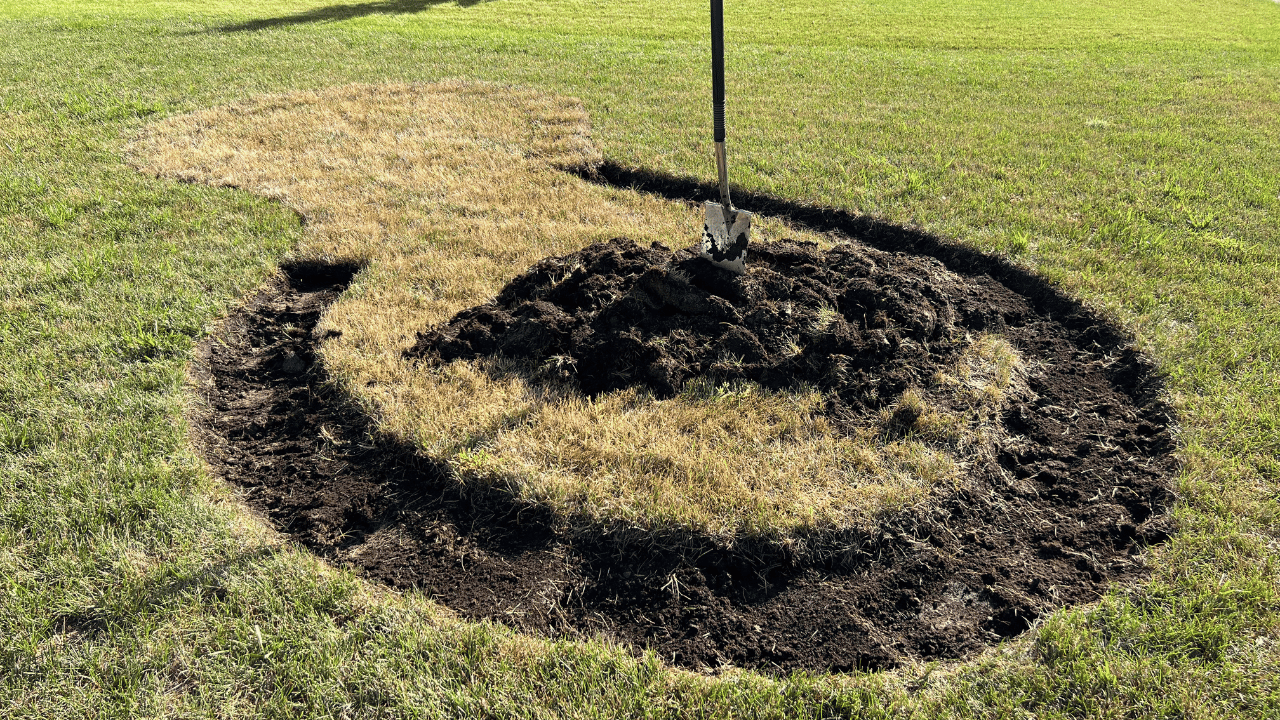 Early Stages Of A New Landscape Bed