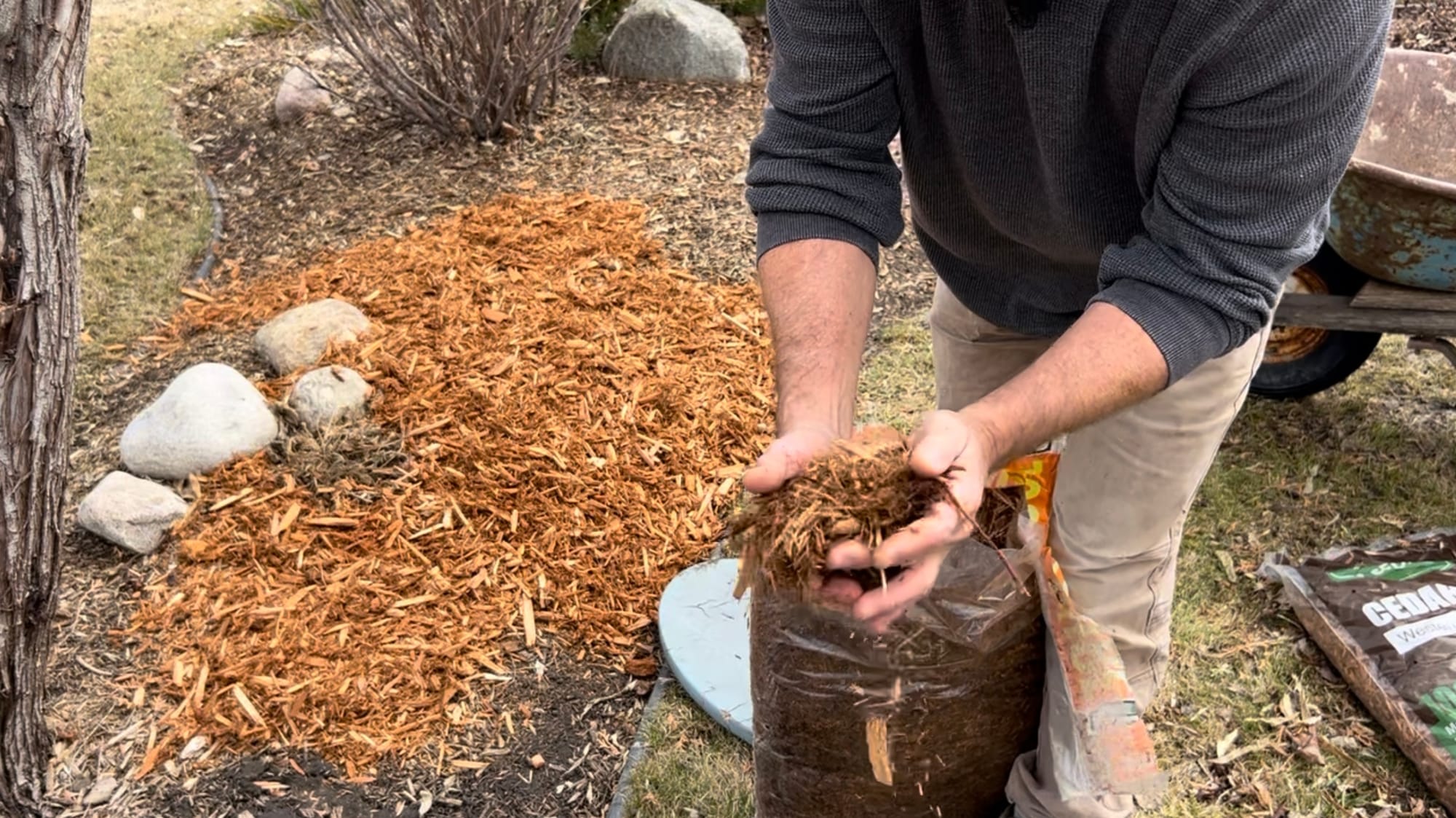 Fresh Mulch And A Plant Tour