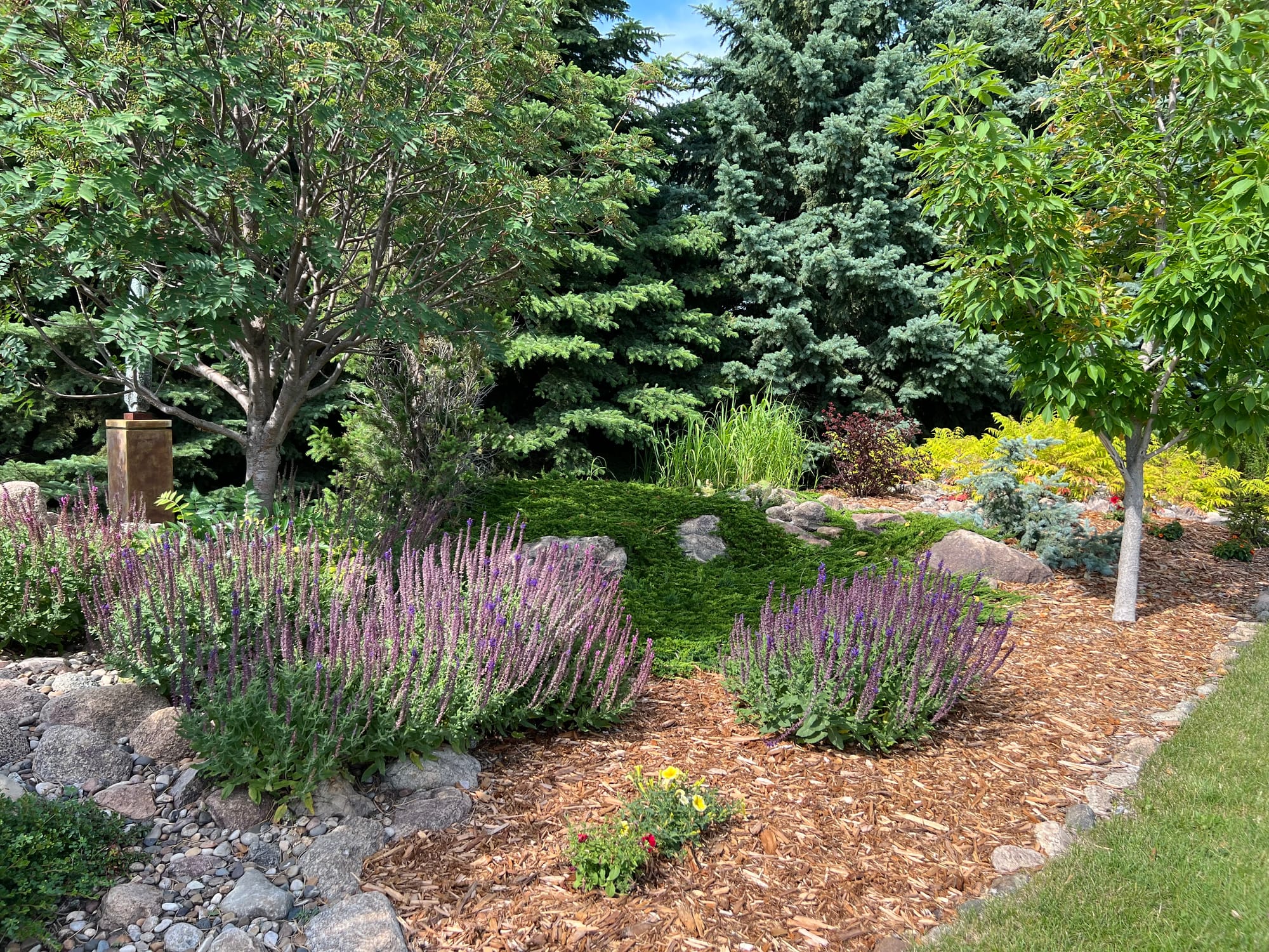 A Pollinator Garden (By Accident?)