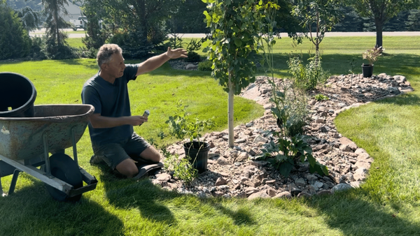 Small Rock Landscape Bed With Plants