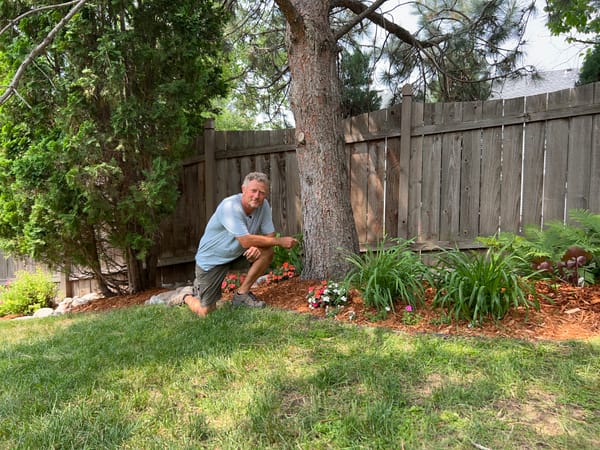 Fresh Mulch Bed