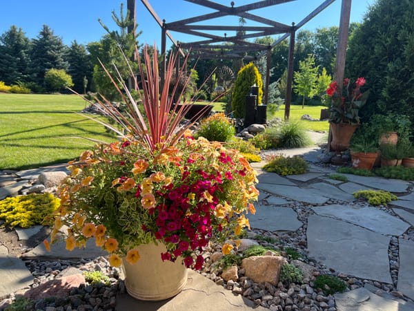 Flowering Annuals In The Landscape